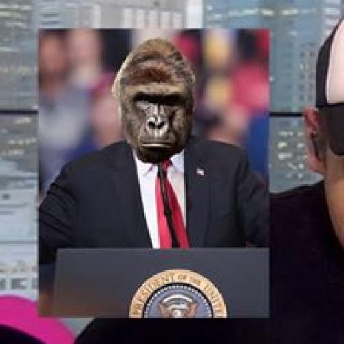 "Is He A Rapper?": Radio Host Doesn't Know Who Harambe Is