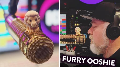 Kyle Trades His Rare Furry Lion King Ooshie... But Was He Duped?