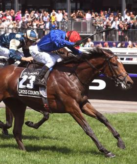 Victoria Says "Yeah, Nah" To Sydney's Offer To Host This Year's Melbourne Cup