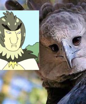 People Are Unsettled That This Eagle Looks Like Someone In A Bird Costume