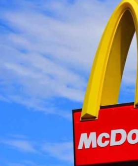 Mchappy Day News And Videos