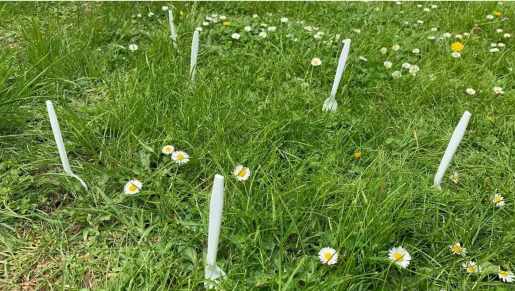 Melburnians Urged To Check Their Backyards After A Terrifying