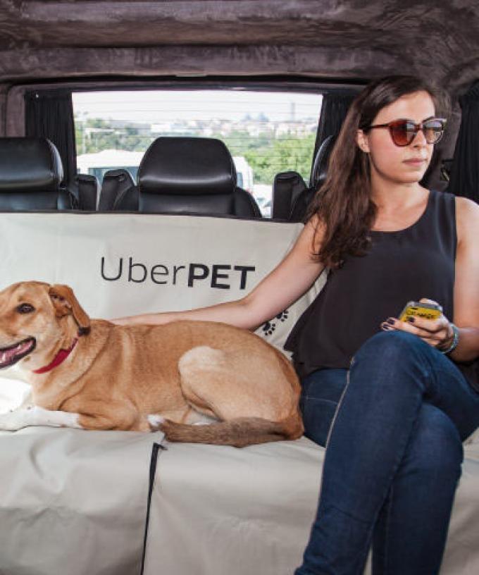 Uber Has Launched A Pet Friendly Service Called Uber Pet