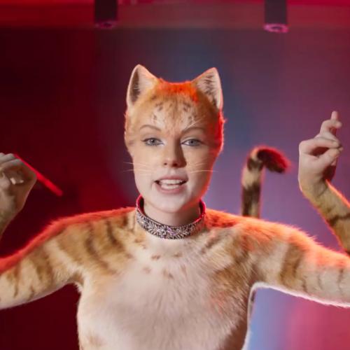 We Officially Have A New Trailer For Cats To Keep Us Purring