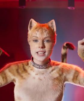 We Officially Have A New Trailer For Cats To Keep Us Purring