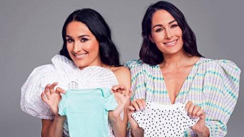 Twins Nikki And Brie Bella Reveal They're BOTH Pregnant ...