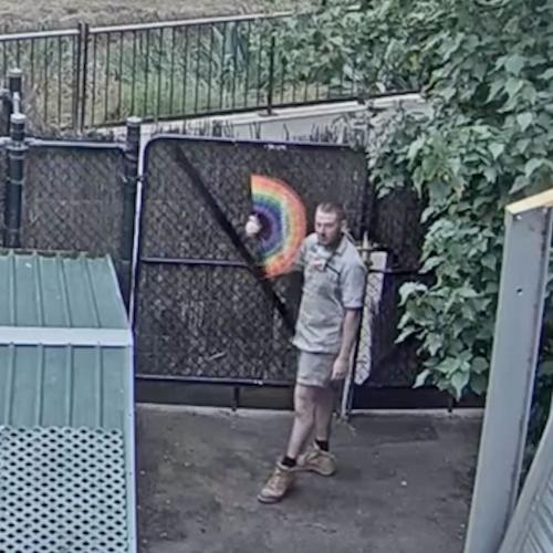 This Dancing Worker On The Melbourne Zoo Livestream Is An Absolute Legend