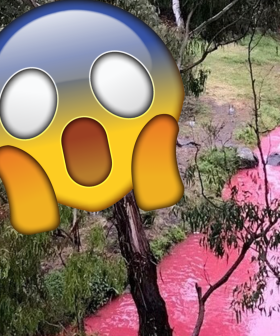 The Reason Why A Melbourne Creek Turned Pink Has Been Revealed And It's Not Good..