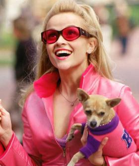 Reese Witherspoon Is Teaming Up With Mindy Kaling For Legally Blonde 3!
