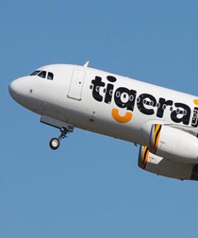 Budget Airline Tigerair Has Closed Down And Here's What It Means For Your Credits