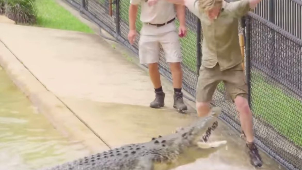 Robert Irwin Lunged At By Massive Crocodile In Frightening