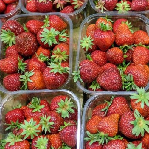 Aussie Farmers Are Now Offering $100,000 Per Person To Pick Strawberries!