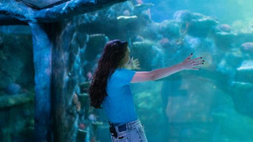 Amy Sharks Tour Of An Aquarium Takes A Turn!