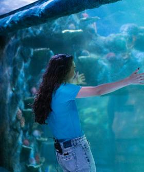 Amy Sharks Tour Of An Aquarium Takes A Turn!