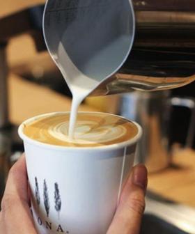 Dream Job Alert! You Can Now Get Paid $10,000 To Drink Coffee For A Month!