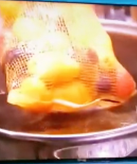 Apparently People Are Cooking Potatoes In The Mesh Bag...But Is It Safe?