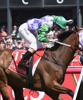 Michelle Payne gives us her tip for the Melbourne Cup!