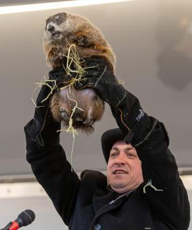 As If 2022 Couldn't Get Any Worse, Weather Predicting Groundhog Dies Days Before Groundhog Day!