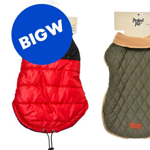 Big W Releases A Winter Coat Line... For Your Pets