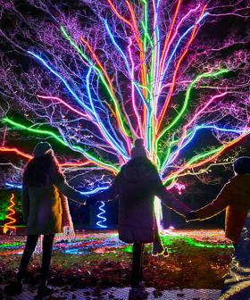 Melbourne Gets Very First Immersive Light Show Experience