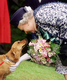 Prince Andrew And Fergie To Take Queen's Beloved Dogs