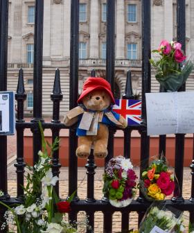 Here's What Will Happen To All The Queen's Paddingtons