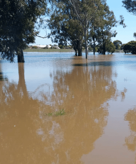 Rising Murray River Puts Towns On Edge