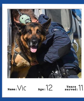 Victoria Police Celebrate The Retirement Of 15 Police Dogs