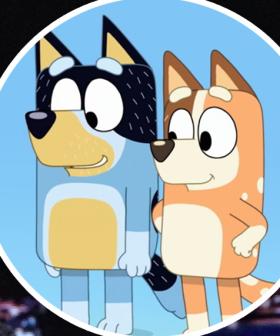 Attention Bluey Fans: Bandit & Chilli Heeler Were Just On Jimmy Fallon