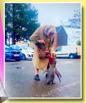 I Don't Know Who's Cuter In This Video Of An Elderly Lady Talking To A Penguin