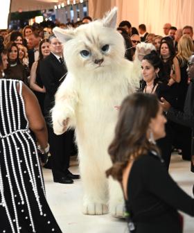 Jared Leto Dressed As A Cat At The 2023 Met Gala Is A Must-See