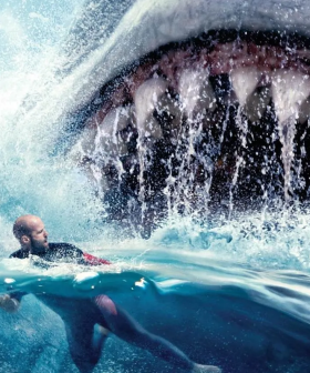 In "What The Hell Is Happening" News: The Meg Is Getting A Sequel