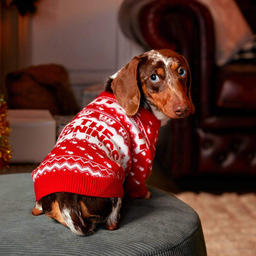 KFC Have Blessed Us And Our Pets With Some Truly Horrendous "Ugly Christmas (in July) Sweaters"