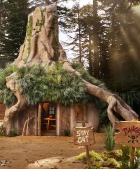 Now You Can Book A Stay At Shrek's Iconic Swamp Thanks To Airbnb