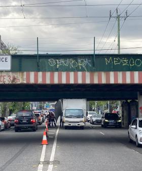 Montague Street Bridge: A Year in Review