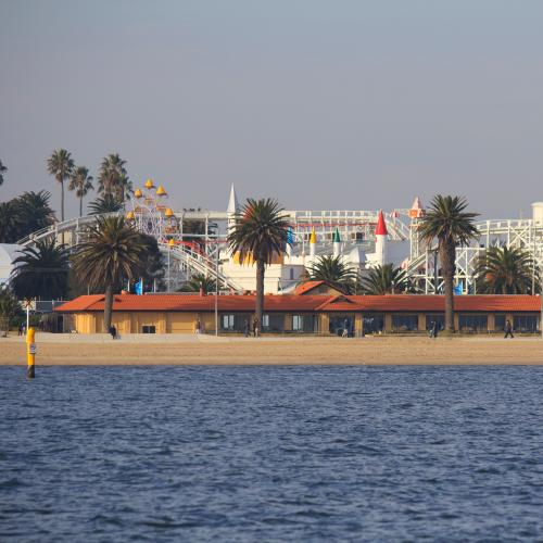 Palm Trees Along Iconic Melbourne Foreshore Go Up In Flames