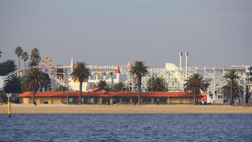 Palm Trees Along Iconic Melbourne Foreshore Go Up In Flames