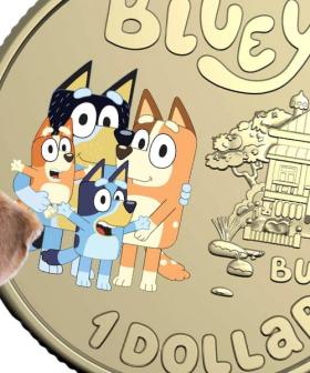 Collectable Bluey Dollarbucks Now Selling for $1000’s of Real Dollars