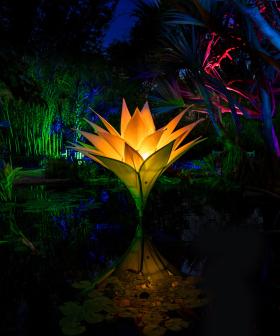 Win an Exclusive VIP Family Night at Lightfall!