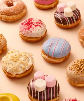 Win a YEAR’S worth of Daniel’s Donuts!